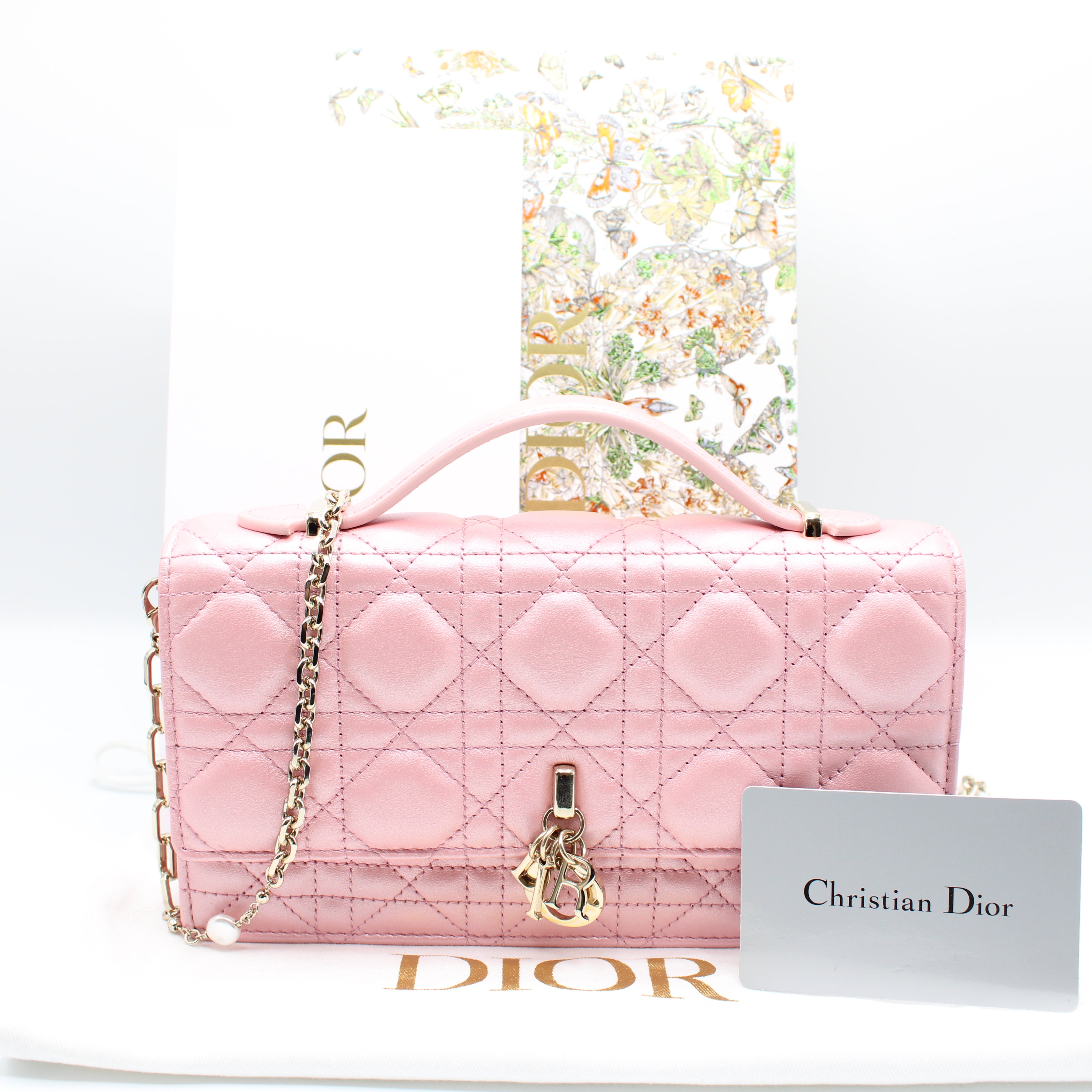 Christian Dior My Dior Mini