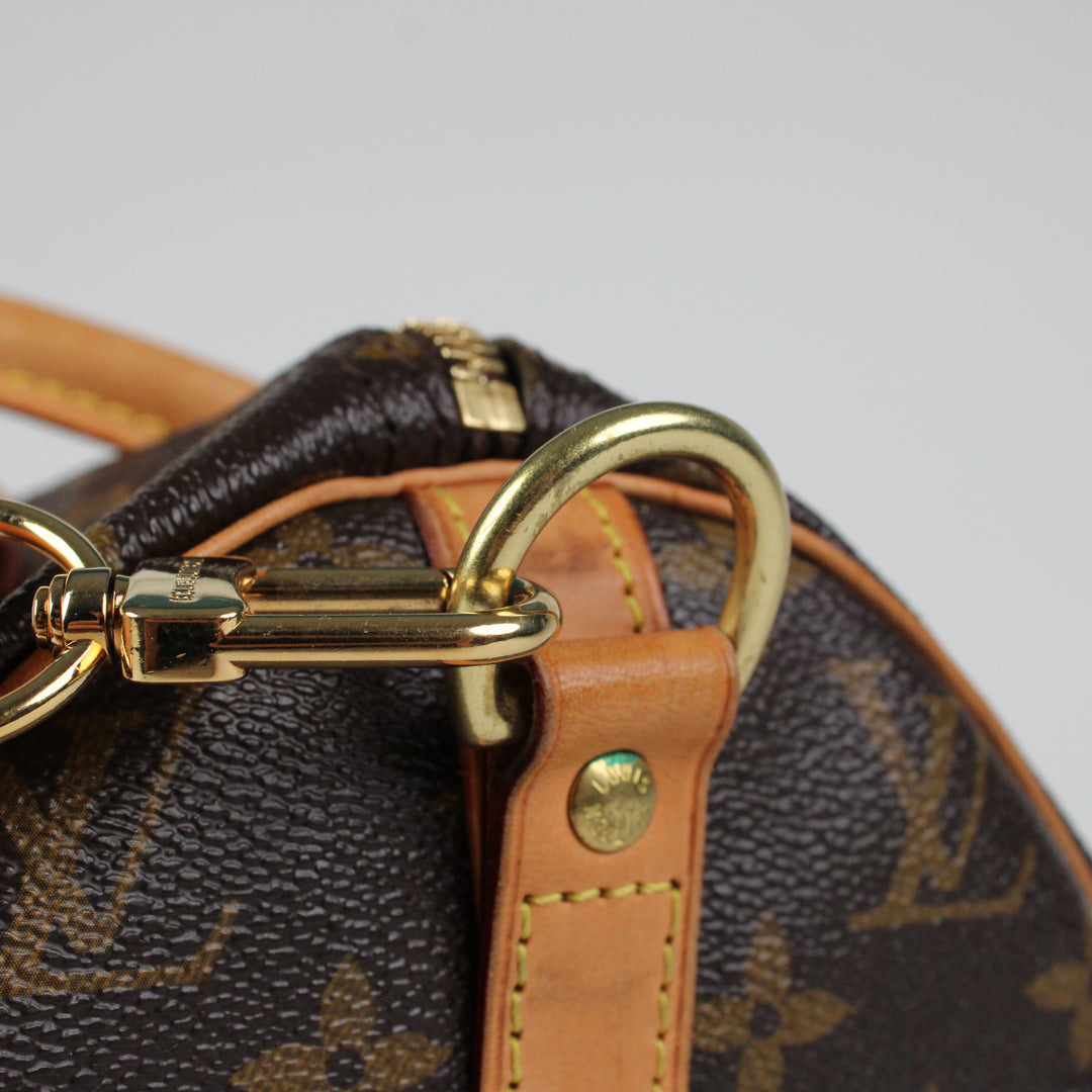 Louis Vuitton Speedy 30 bandouliere